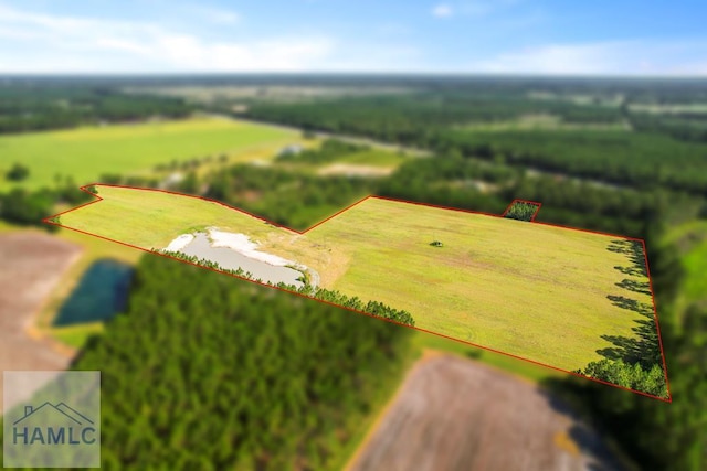 299 Collins Loop, Odum, GA 31555 - photo 4