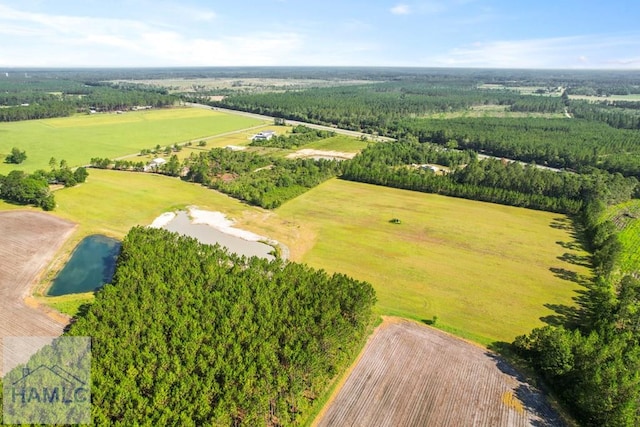 299 Collins Loop, Odum, GA 31555 - photo 17