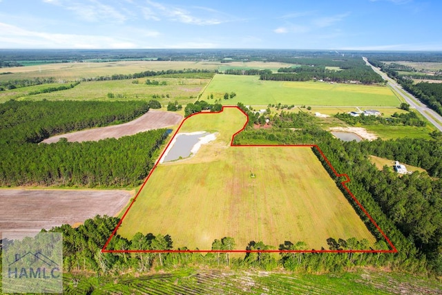 299 Collins Loop, Odum, GA 31555 - photo 1