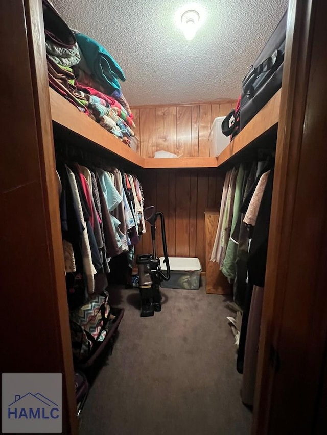 224 Bacon St, Jesup, GA 31545 - walk in closet featuring carpet floors