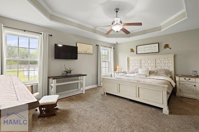 308 Mancey Garrason Loop NE, Ludowici, GA 31316 - carpeted bedroom with a raised ceiling, crown molding, and ceiling fan