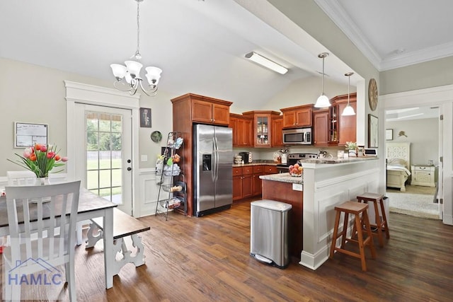 308 Mancey Garrason Loop NE, Ludowici, GA 31316 - kitchen with appliances with stainless steel finishes, a peninsula, glass insert cabinets, dark wood finished floors, and lofted ceiling