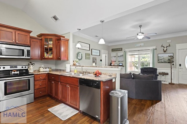 308 Mancey Garrason Loop NE, Ludowici, GA 31316 - kitchen featuring appliances with stainless steel finishes, a sink, a peninsula, dark wood-style floors, and glass insert cabinets