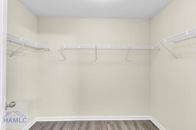 walk in closet with hardwood / wood-style flooring