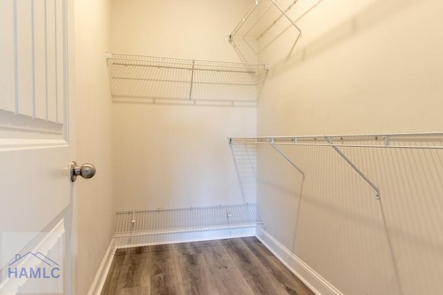 walk in closet with wood finished floors