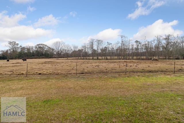 view of yard with a rural view