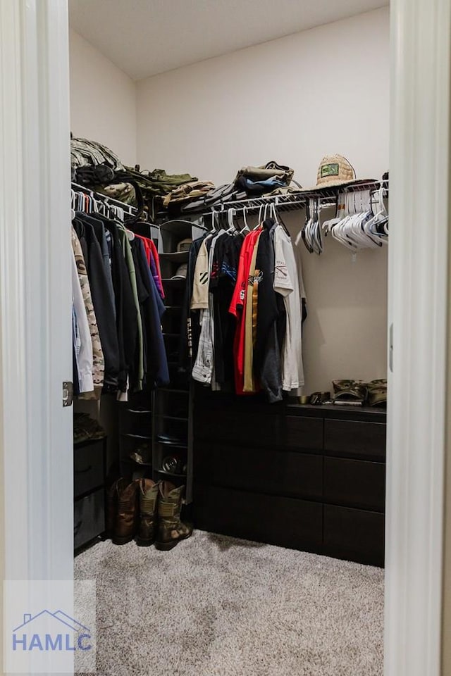 spacious closet featuring carpet flooring