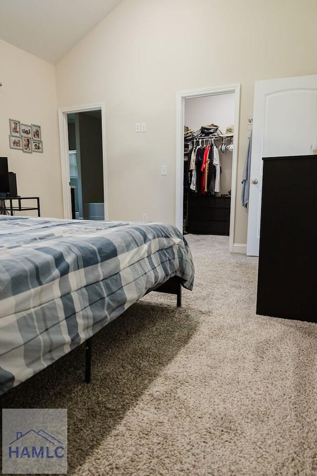 bedroom with carpet flooring, lofted ceiling, a spacious closet, and a closet