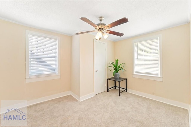 1514 Augusta Ave, Savannah, GA 31415 - spare room featuring baseboards, ornamental molding, a ceiling fan, carpet, and a textured ceiling