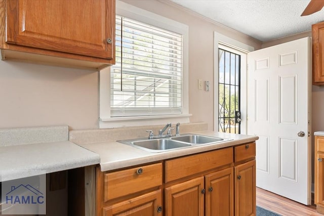 1514 Augusta Ave, Savannah, GA 31415 - kitchen featuring light countertops, brown cabinets, a textured ceiling, and a sink