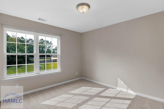 247 Morgan Field Blvd, Ludowici, GA 31316 - spare room featuring light carpet and baseboards
