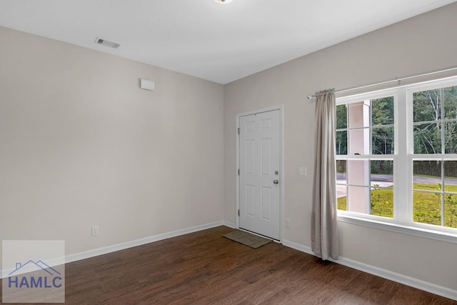 247 Morgan Field Blvd, Ludowici, GA 31316 - entryway with dark wood finished floors and baseboards