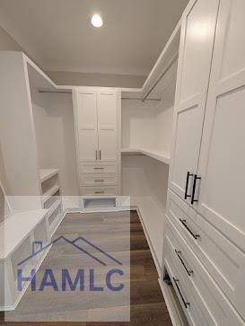 spacious closet with dark wood-type flooring