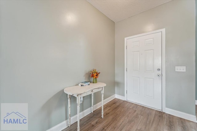 91 Thomas Way SE, Ludowici, GA 31316 - entrance foyer with wood finished floors and a textured ceiling
