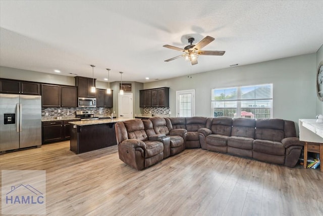 91 Thomas Way SE, Ludowici, GA 31316 - living room featuring a ceiling fan and light wood-style flooring