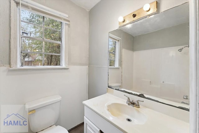 bathroom with toilet and vanity