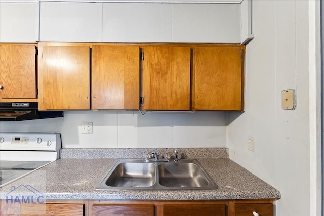 kitchen featuring sink, ventilation hood, and white electric range