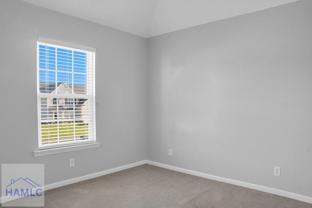 carpeted empty room featuring a wealth of natural light