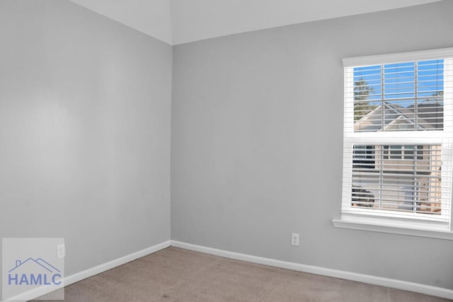 spare room featuring light carpet