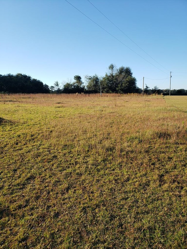 287 Daisy Cir, Glennville GA, 30427 land for sale