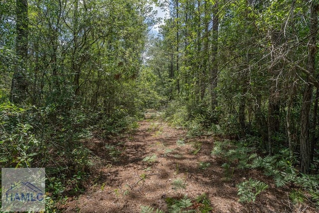 0 Longford Rd, Jesup, GA 31546