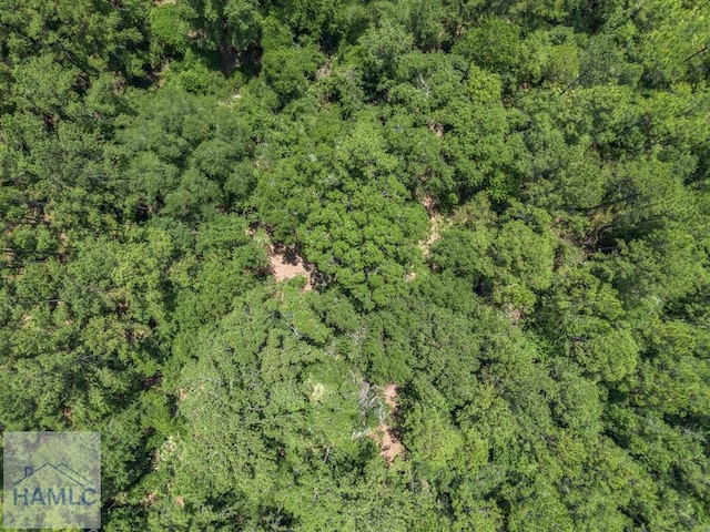 0 Longford Rd, Jesup, GA 31546