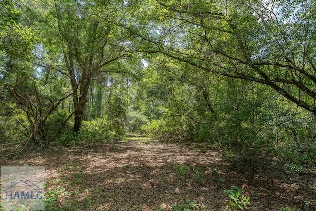 0 Longford Rd, Jesup, GA 31546