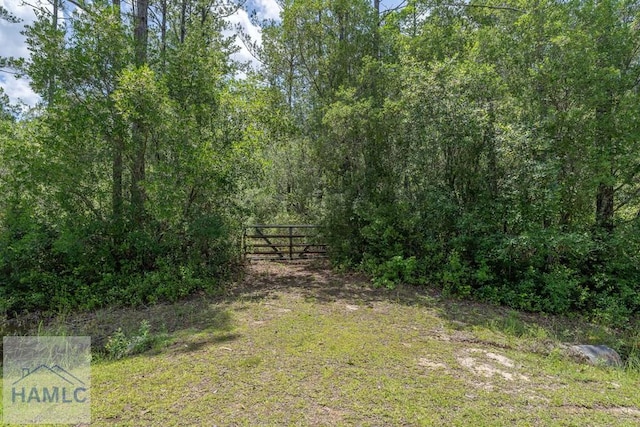 0 Longford Rd, Jesup, GA 31546