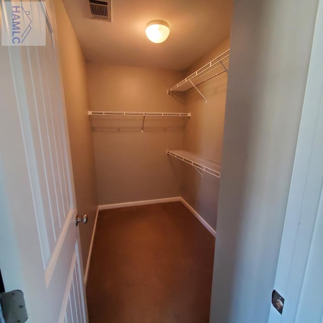 walk in closet with carpet