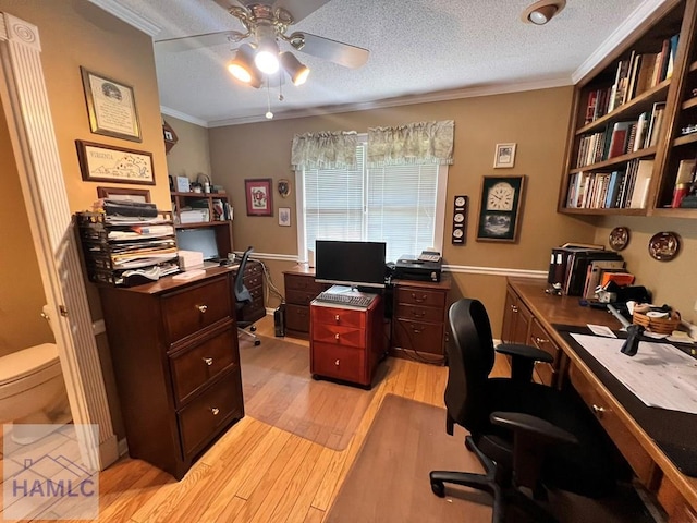 office featuring a textured ceiling, ceiling fan, light hardwood / wood-style floors, and crown molding