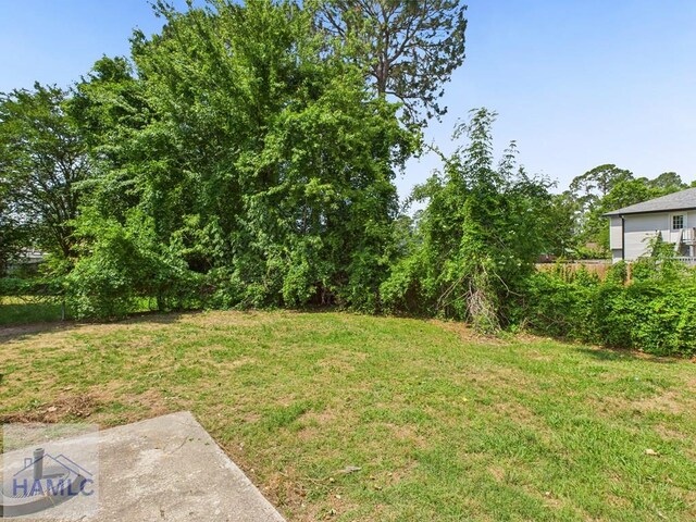 view of green lawn