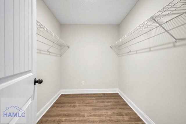 spacious closet with wood-type flooring