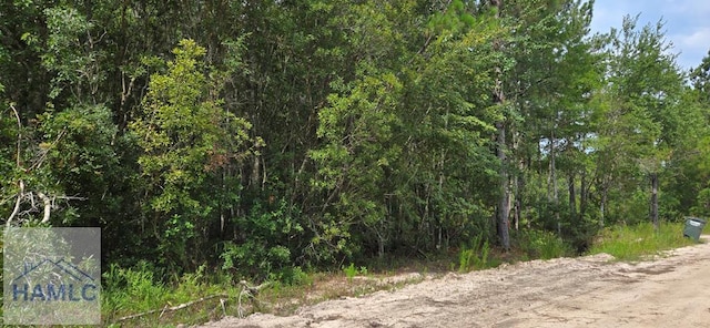 7.56ACR Maple Dr, Ludowici, GA 31316 - photo 1