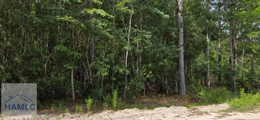 7.56ACR Maple Dr, Ludowici, GA 31316 - photo 2