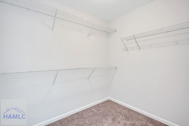 89 Morgan Field Blvd, Ludowici, GA 31316 - walk in closet with carpet floors