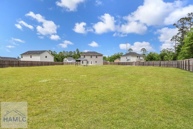 89 Morgan Field Blvd, Ludowici, GA 31316 - view of yard