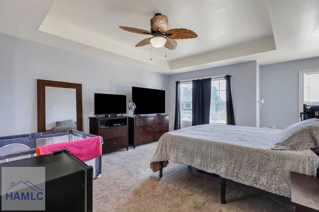 243 Forest St, Ludowici, GA 31316 - bedroom featuring a ceiling fan, multiple windows, a tray ceiling, and light carpet