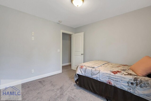 243 Forest St, Ludowici, GA 31316 - bedroom with carpet floors and baseboards