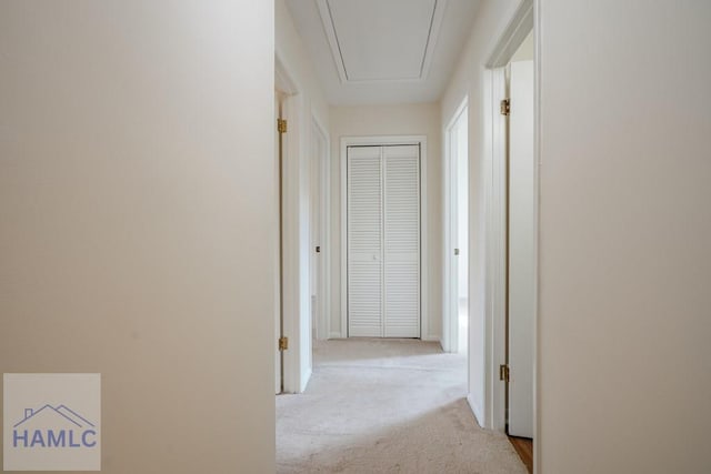 727S Main St Unit 121, Hinesville, GA 31313 - hallway featuring attic access and light carpet