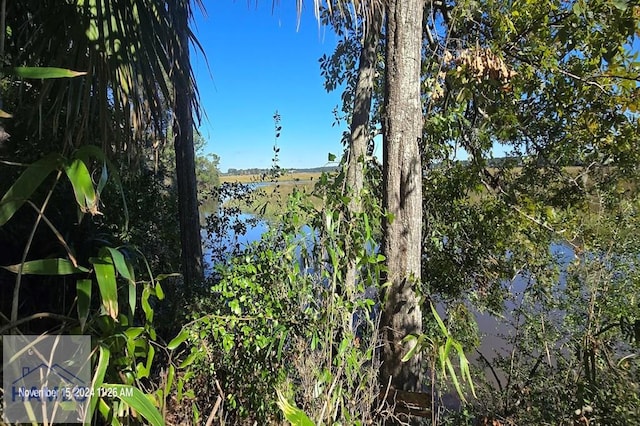 water view