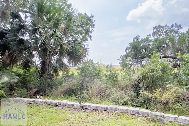 view of local wilderness