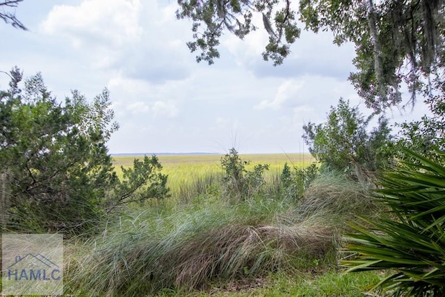 view of landscape featuring a rural view