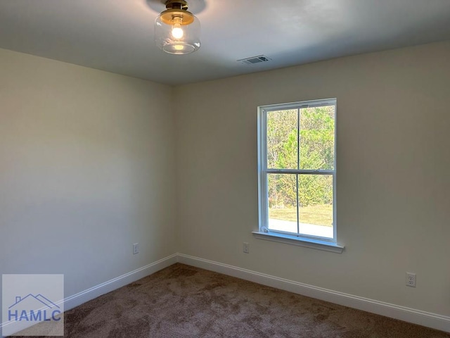 unfurnished room featuring carpet and a wealth of natural light