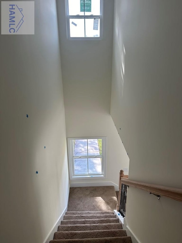 staircase featuring carpet and a high ceiling