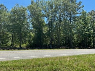 Listing photo 2 for 0 Ga Highway 144, Glennville GA 30427