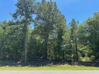 0 Ga Highway 144, Glennville GA, 30427 land for sale