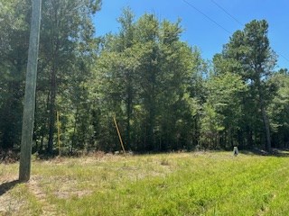 Listing photo 3 for 0 Ga Highway 144, Glennville GA 30427