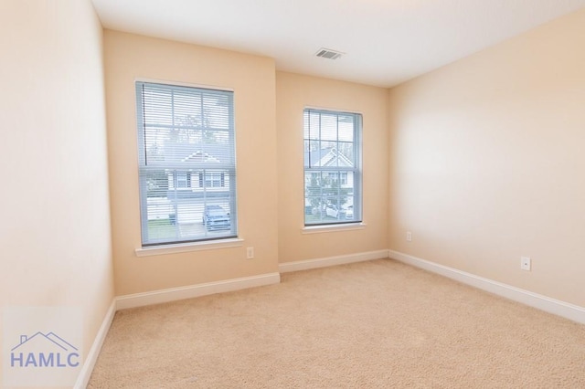 spare room featuring light carpet and a healthy amount of sunlight