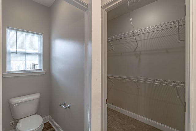 404 Talmadge Rd, Allenhurst, GA 31301 - bathroom with toilet and a walk in closet