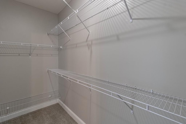 404 Talmadge Rd, Allenhurst, GA 31301 - walk in closet featuring carpet flooring